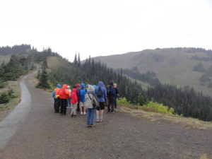 Discussion of Hurricane Ridge fault where it cross Hurricane Ridge Trail. Field trip participants gather around to get closer look at Beach 4 primary sedimentary structures