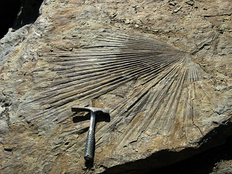 20220514 Mustoe, WWU Bellingham The Chuckanut—Not just